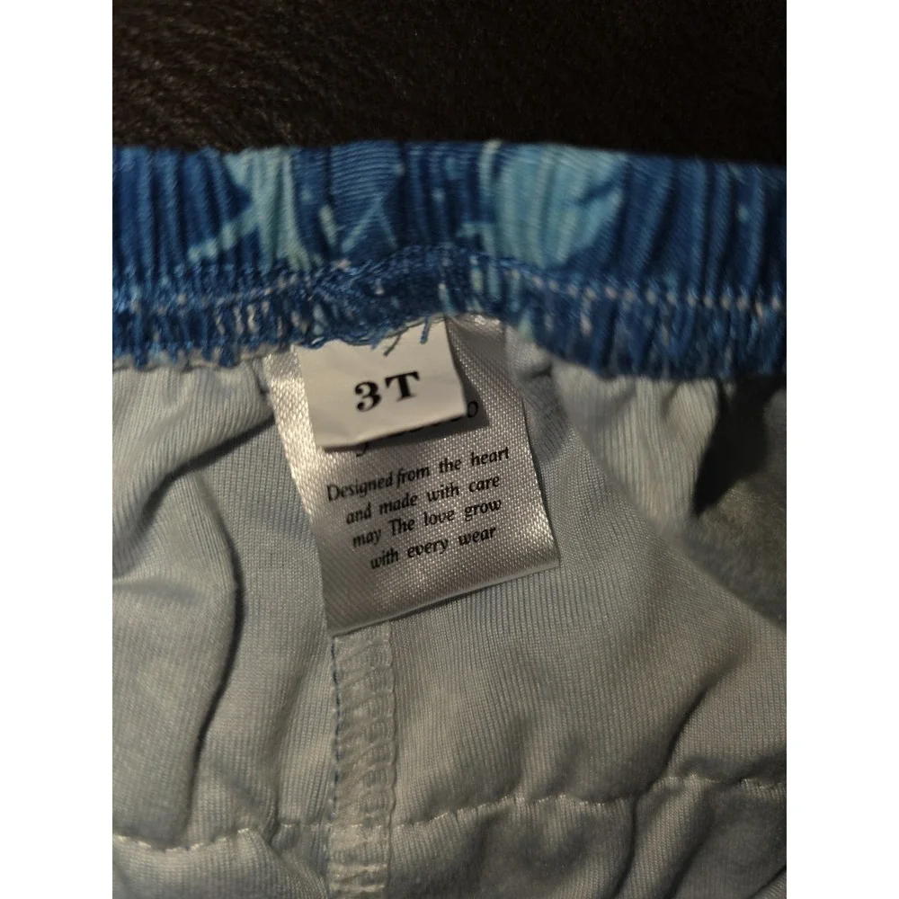Bliss by LBCCo boutique disney frozen elsa anna sven dress and bloomers 3t